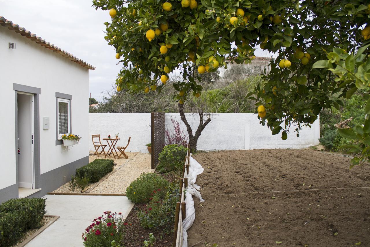 Casa Do Avo Serra Leiria Bagian luar foto