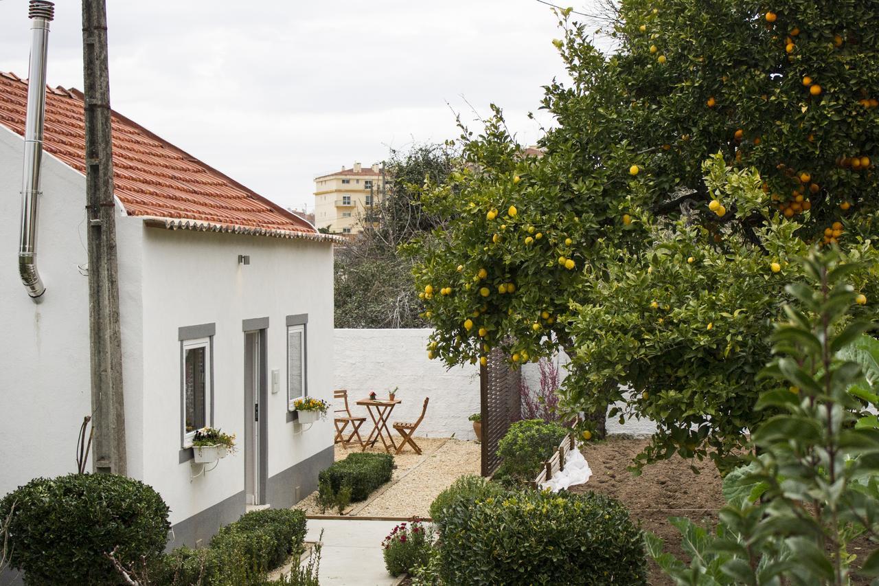 Casa Do Avo Serra Leiria Bagian luar foto
